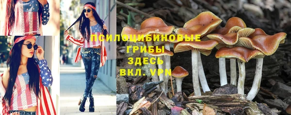 мескалин Богородск