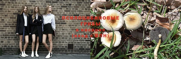 мдма Богородицк